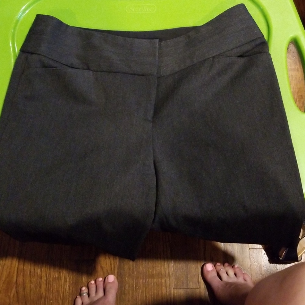 Editor dress pant